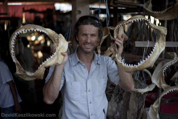 david_kaszlikowski_with_endangered_sharks_jaws_in_Borneo