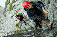 wi�cej &raquo;