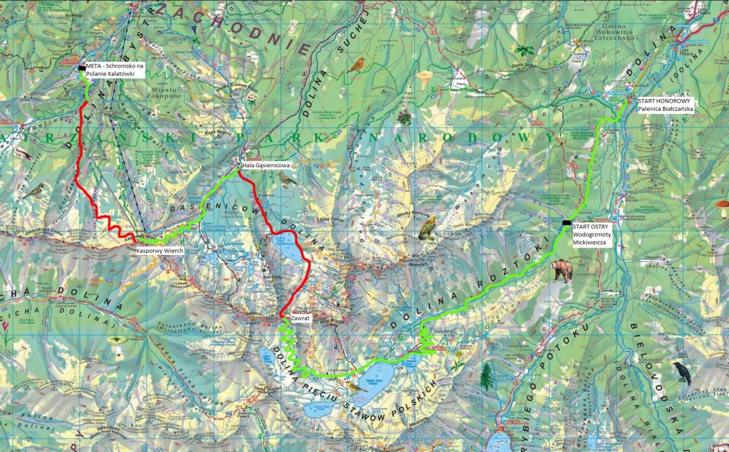 Mapa zawodów KW Zakopane - Budrem 2017