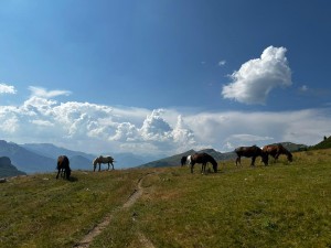 Okolice bazy, fot. Kasia Kaczmarczyk