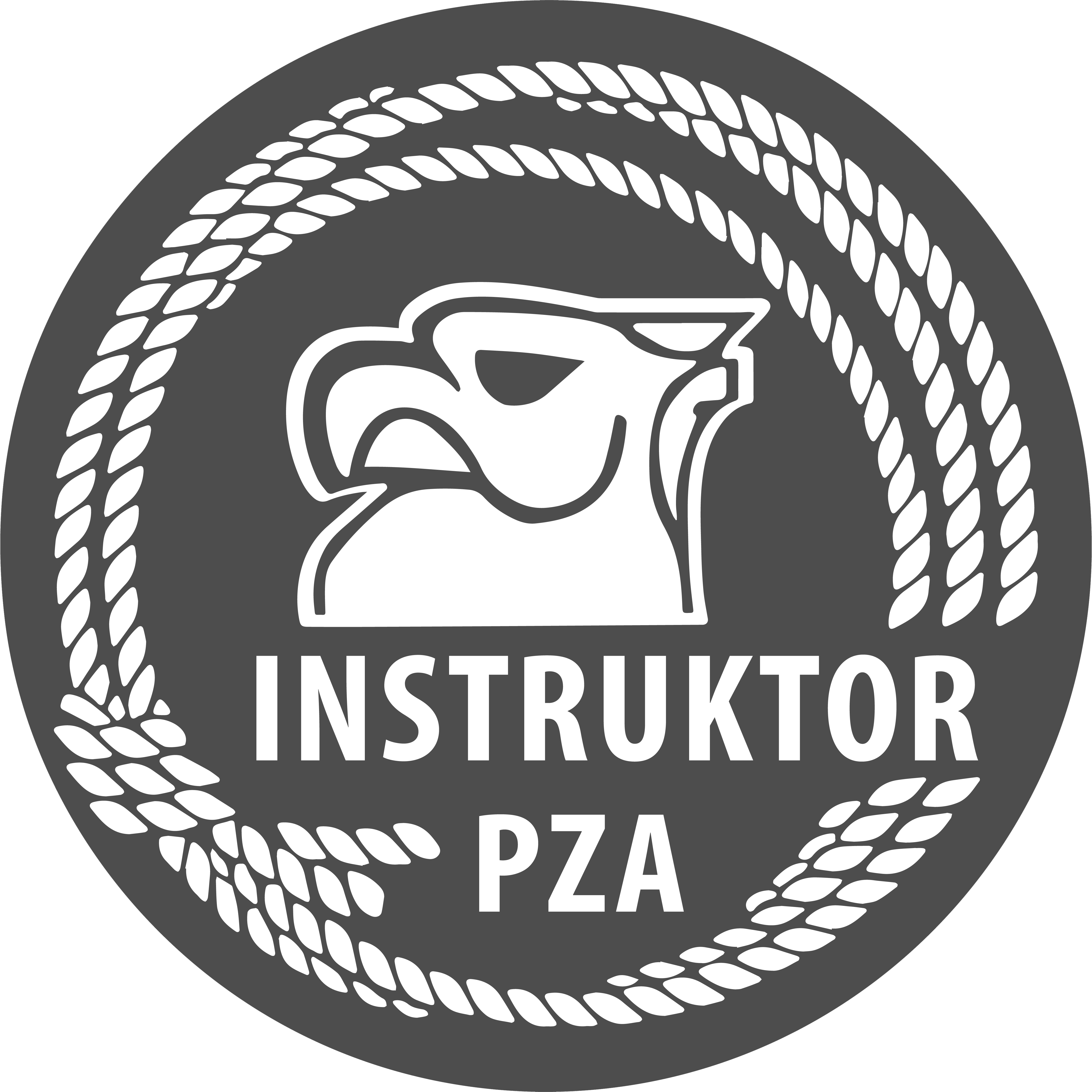 Instruktor PZA odznaka