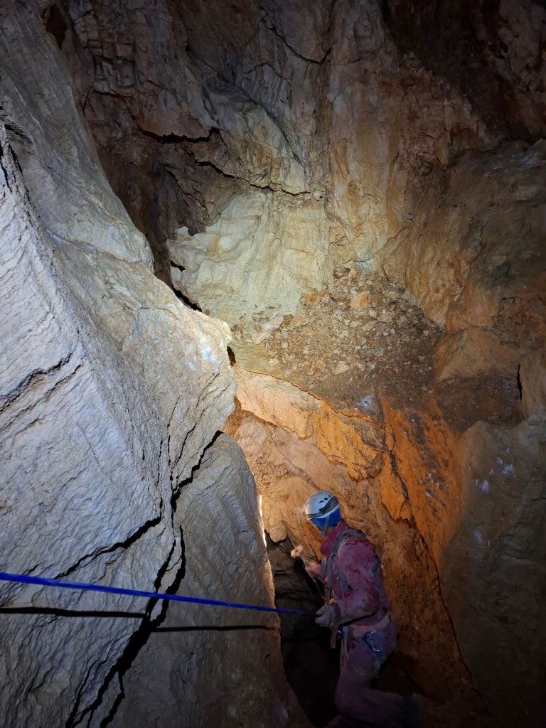 OS-2 puszcza, fot. B. Ziarkowski