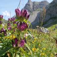 Hagen 2025, fot. Jakub Nowak