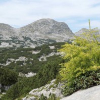 Hagen 2025, fot. Jakub Nowak 2