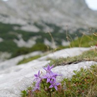 Hagen 2025, fot. Jakub Nowak