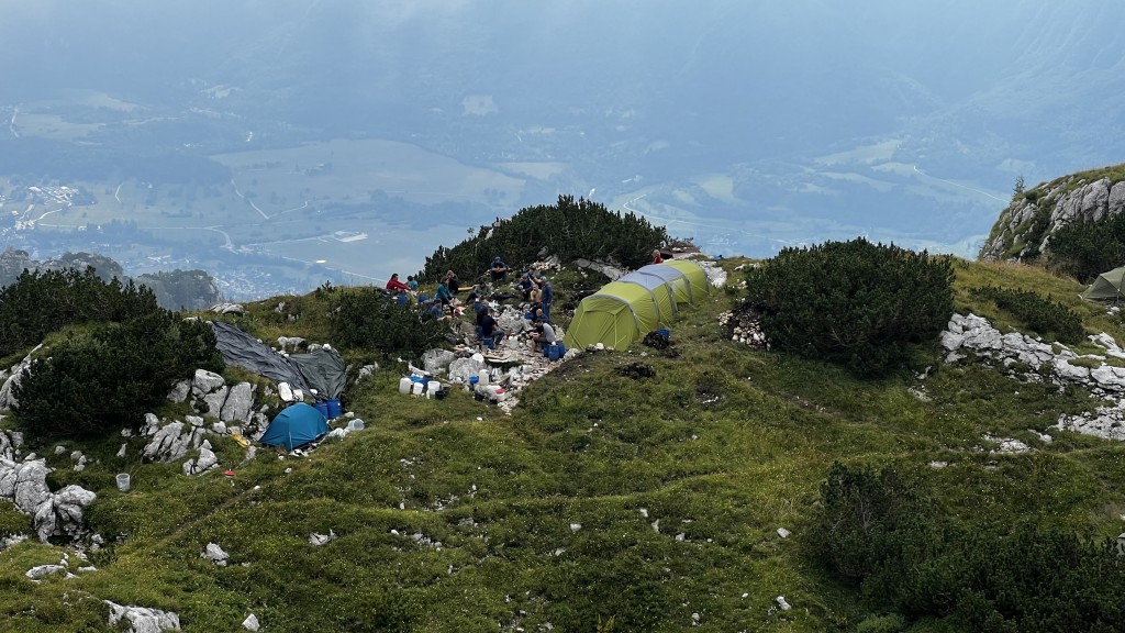 Grajdół bazowy, fot. E. Woźniak