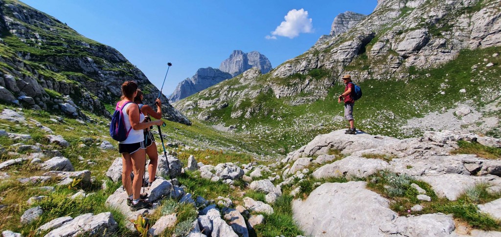 Powierzchniówka, fot. Michał Amborski