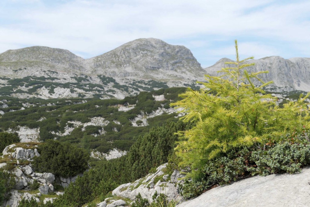 Hagen 2025, fot. Jakub Nowak 2