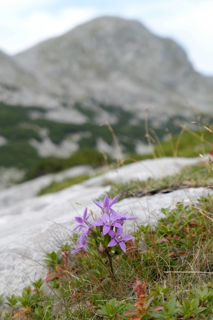 Hagen 2025, fot. Jakub Nowak