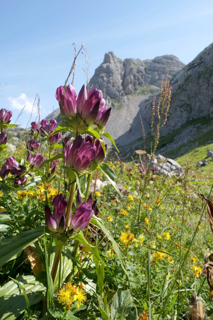 Hagen 2025, fot. Jakub Nowak